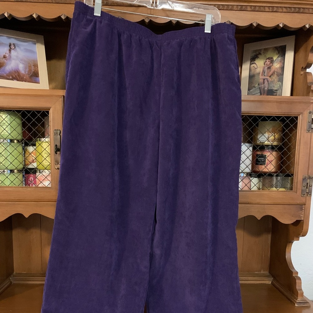 Purple Women’s size 18 pull on corduroy pants.